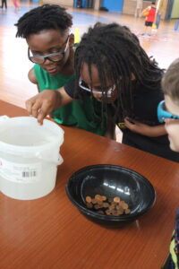 Three kids wearing safety goggles lean over a table as coins sit in a black bowl, with a white bucket nearby, during a gym‑based science activity.